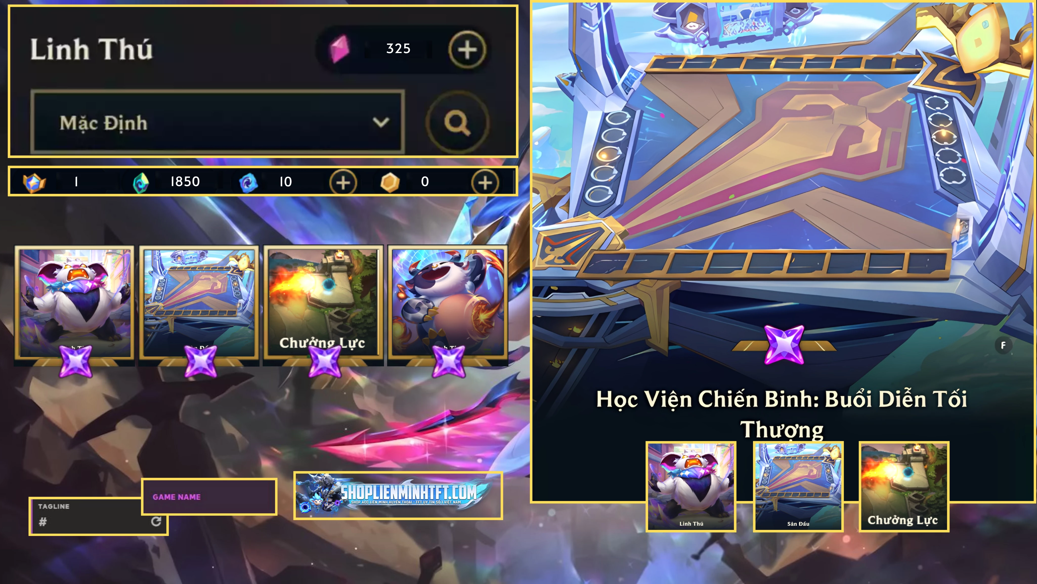 Sàn Học Viện Chiến Binh Pet Chưởng Đầy Đủ